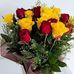 Tiffany Muhammad - Facebook