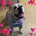 Tiffany Neely - Facebook