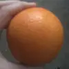 tiffanytheorange - @tiffanytheorange - TikTok