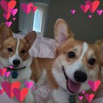 Tiffany Poe - @jazzintiffer - Instagram