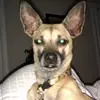 Tiffany Pringle - @tiffany.pringle - TikTok