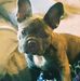 Tiffany Weddell Redman - Facebook