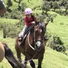 Tiffany Rolleston603 - @tiffanyrolleston0 - TikTok