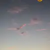 TiffanyRubio  - @tiffanyrubio - TikTok