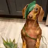 Tiff - @tiffanyruby79 - TikTok