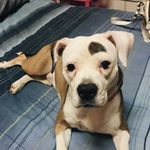 Tiffany Dawn Ruggles - @tiffrugg062 - Instagram