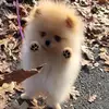 Tiffany is mijn koningin - @tiffany.rutter.11fanpage - TikTok