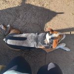 Tiffany Schulz - @tiffany.schulz.52 - Instagram