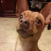 Tiffany Serrano - @tiffanyserrano2 - TikTok