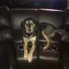 tiffanyshells - @tiffanyshells - TikTok