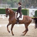 Tiffany Silverman - @unbridleddressage - Instagram