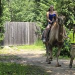 Tiffany Simard - @tiffany_simard152002 - Instagram