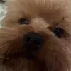 Tiffany - @tiffspargo0 - TikTok