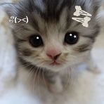 Tiffany Spark - Facebook