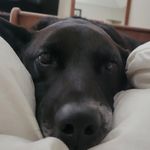 Tiffany Stiles Barber - @tiffanybarber454 - Instagram