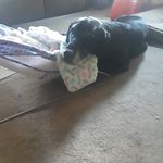 Tiffany Strohl - @strohltiffany - Instagram