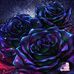 Tiffany Strohl - Facebook