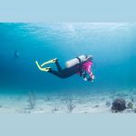 Tiffany Stull - @tiffanyls71 - Instagram