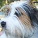 Tiffany Teeter - Facebook