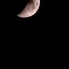 Tiffany Tracey - @tiffany.tracey - TikTok
