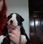 Tiffany Wicker - Facebook