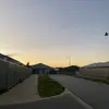 Tiffany_wirthit - @tiffany_wirthit - TikTok