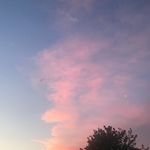 Tiffany Larkin Wolff - @tiffanywolff - Instagram