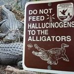 Tiffiny Breshears Johnson - @jussfroggie - Instagram