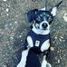 Tiffiny Rose Keeser - Facebook