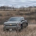 Tiger Turner - @tiger.turner5 - Instagram