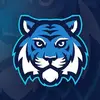 TURNER HS !💙⭐️🐯 - @thee..turnertigerss - TikTok