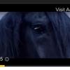 tillythegreat09 - @tilly_harrison_08 - TikTok