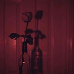 Tim Abbas - @abbas_tim - Instagram