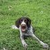 Tim Abrahamson - Facebook
