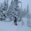 timabrahamson496 - @timabrahamson496 - TikTok