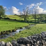 Tim Adamson - @timadamson7 - Instagram