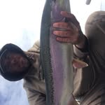 Tim Adamson - @timadamson6 - Instagram