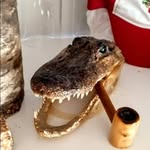Tim Addison - @timbettas - Instagram