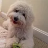 Tim Aiken - @2181532471 - TikTok