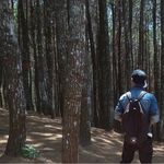 Albert Hendratanto - @tim_albert - Instagram