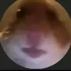 Tim Alberts913 - @timalberts0 - TikTok