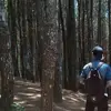 timalbert_ - @timalbert_ - TikTok