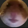 Tim Alberts913 - @timalberts0 - TikTok