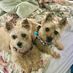 Timothy Ames - Facebook