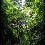 Tim Armitage - @armitage.tim - Instagram
