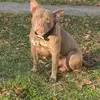 Timothy Armitage - @timothy.armitage1 - TikTok