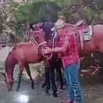 Tim Ashby - Facebook