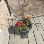 Tim Ashby - @tim.ashby3 - Instagram