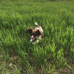 Tim Ashby - @timboy2345 - Instagram