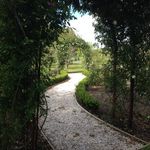 Tim Auld - @auldfarmandgardens - Instagram